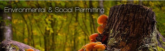 Environmental and Social Permitting